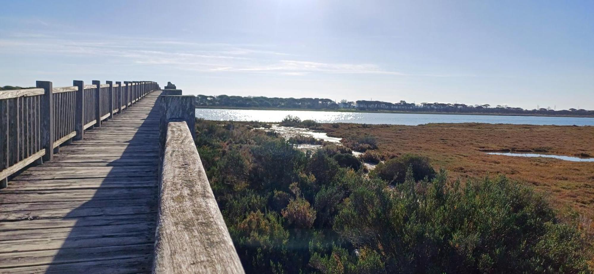 Apartamento Primera Linea De Playa Valdelagrana El Puerto de Santa María Eksteriør bilde